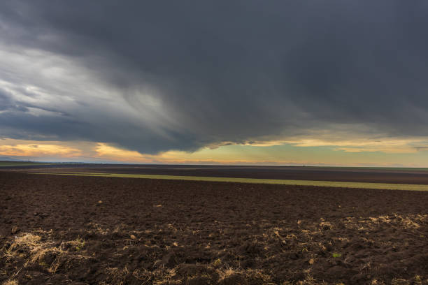 Field with arable land. Plowed field. Dramatic clouds in the sky