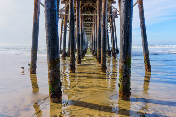 istock Elegant View Beneath Oceanside Pier with Pillars in Shallow Waters 2203940830