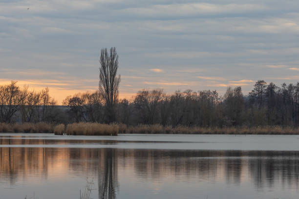 Landscape around a pond in the Czech Republic