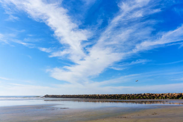 Breathtaking landscape featuring Pacific Ocean, breakwater, seagull, and expansive blue sky with white clouds, captured from a low angle.