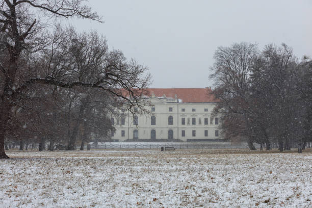 istock Snowy landscape in the park 2203941321