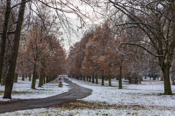 istock Snowy landscape in the park 2203941324