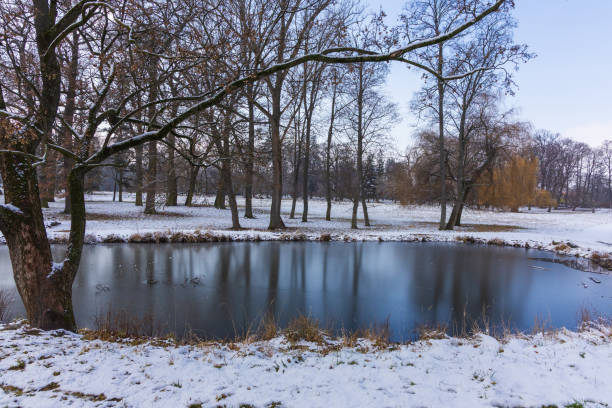 frozen mountain lake in winter with trees in the background of the winter landscape and gelid. copy space in the sky