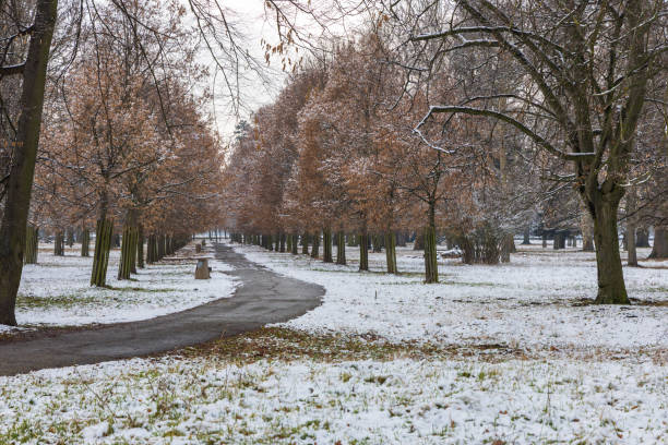 istock Snowy landscape in the park 2203941437