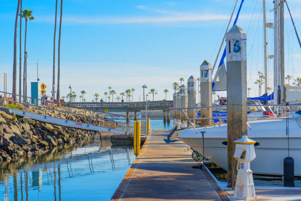 Picturesque marina walkway featuring sailboats and palm trees, showcasing the vibrant coastal lifestyle of Oceanside, California.