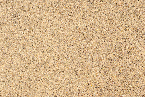 istock Smooth golden sand texture spread across a beach area inviting relaxation and leisure activities 2203943609
