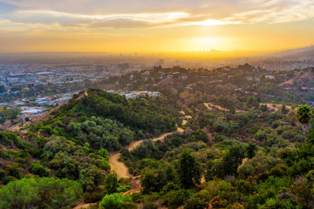 istock Breathtaking Sunset Over Griffith Park's Hiking Trails and Greenery 2203944346