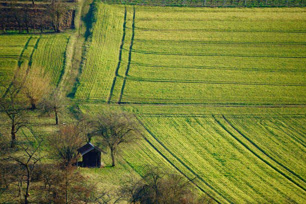 Beautiful agriculture field at sunset in spring, Neckar river valley
