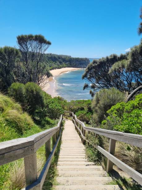 istock Wooden walkway leading to a beautiful beach 2203947781