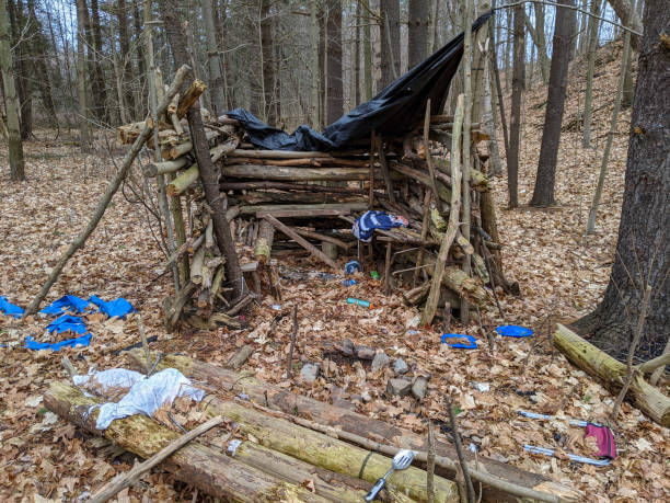 A handcrafted log and tarp shelter set amidst a forest, surrounded by garbage and fallen leaves. The structure conveys a sense of survival and carelessness for the natural environment.