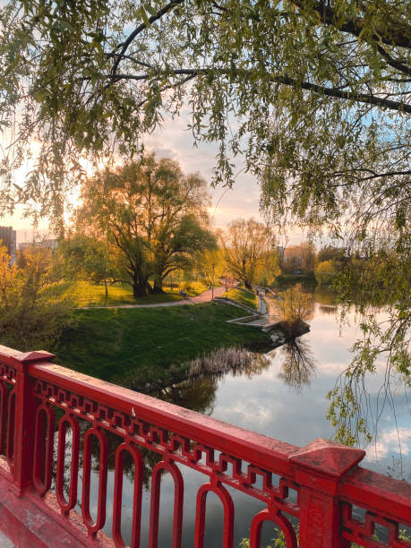 A peaceful riverside park bathed in the golden hues of sunset, framed by overhanging branches and a red bridge railing. A moment of tranquility and reflection in nature.