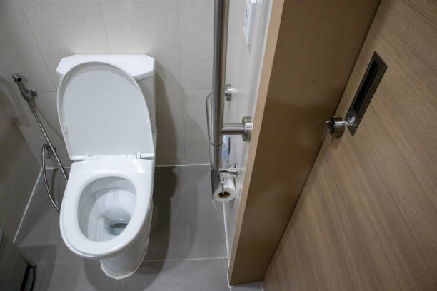 istock Handicapped Disabled Access Bathroom or Toilets for patients, the disabled or those who cannot help themselves 2203950244