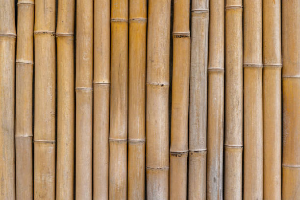 istock Close-up of vertical bamboo stalks in natural warm tones 2203951908