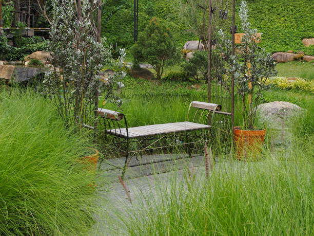 bench besieges with plants in public park