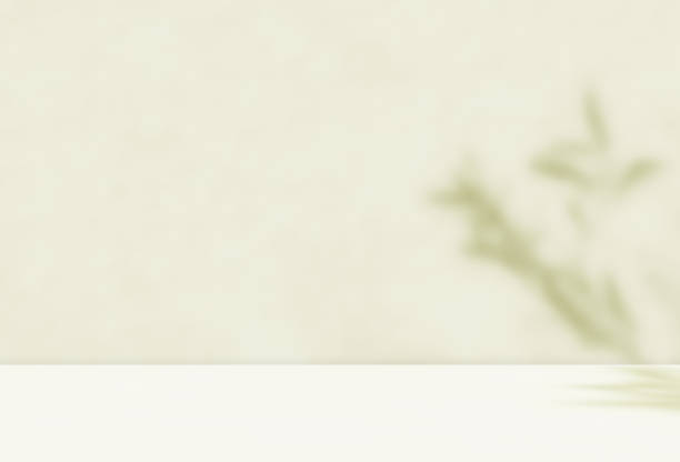 istock Empty light green brown room studio with leaves shadow effect overlay sunlight through the window. 2203961118