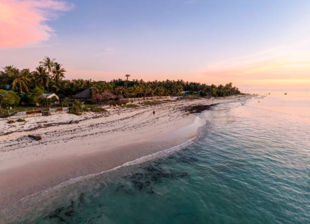 istock Serene tropical beach at sunset 2203961666