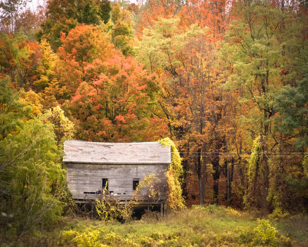 istock Abandoned barn surrounded by brilliant autumn colors 2203964744