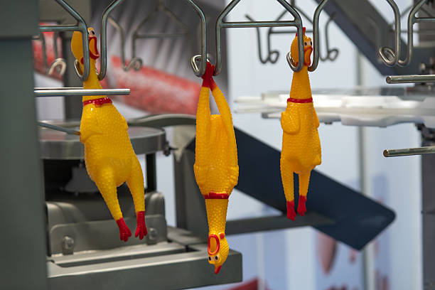 Bright yellow rubber chickens dangle from metal hooks in a creative arrangement. This fun display captures attention in a lively environment, inviting smiles and curiosity.