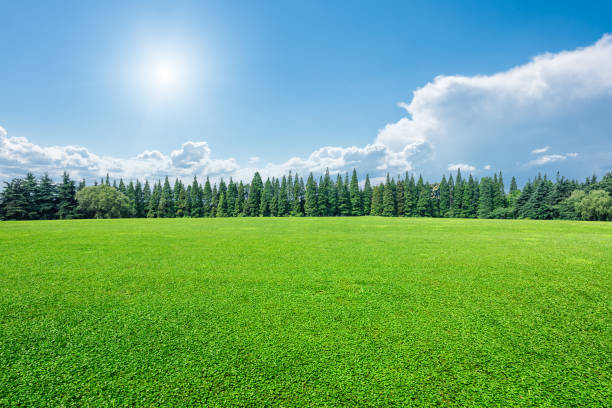 Outdoor natural background