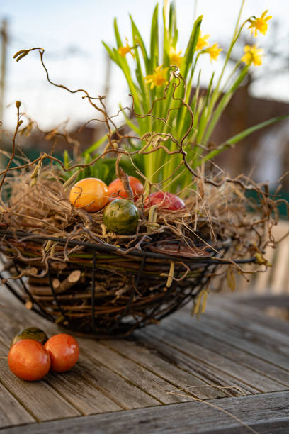 istock Colorful easter eggs in straw nest with daffodils in spring 2203967049