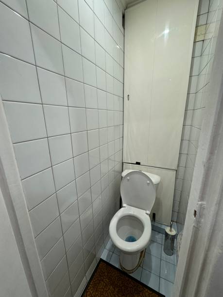 istock toilet in a hotel 2203970911