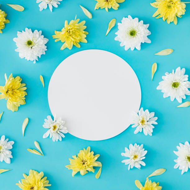 istock Trendy pattern composition made of white and yellow flowers on light blue background with paper card note copy space. Creative spring and summer concept. Flowers aesthetic. Flat lay style. Top view. 2203972123