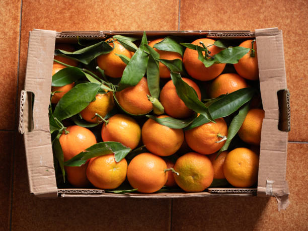 istock cardboard box full of oranges with leaf seen from above 2203972748