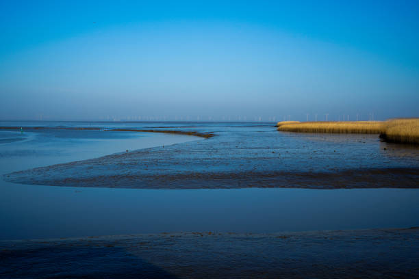 istock Low tide in the Dollard 2203976871