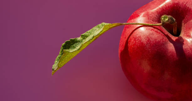istock Red apple with green leaf on pink background. 2203976942
