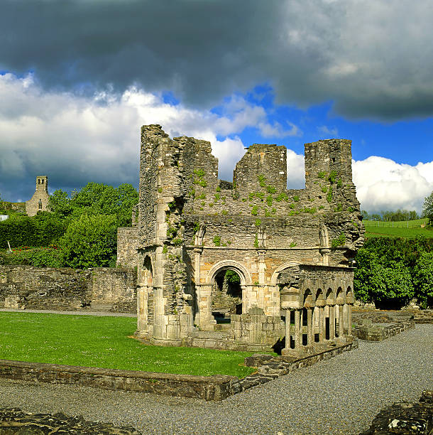 istock Old Mellifont Abbey, Ireland 2203977339