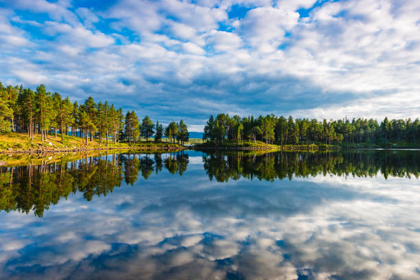 Reflections on a Wilderness Lake