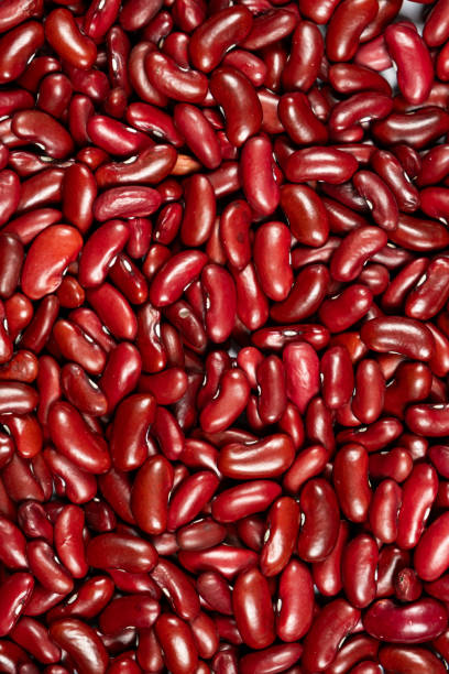 istock Fresh and Dry Red Kidney Beans for Cooking Top View 2203987386