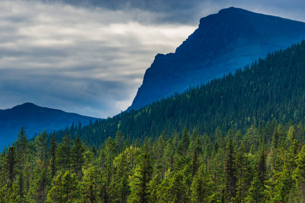 Majestic mountains rise above a lush forest in Sweden, showcasing a captivating interplay of shadows and light against a moody sky. Nature thrives in this serene landscape.