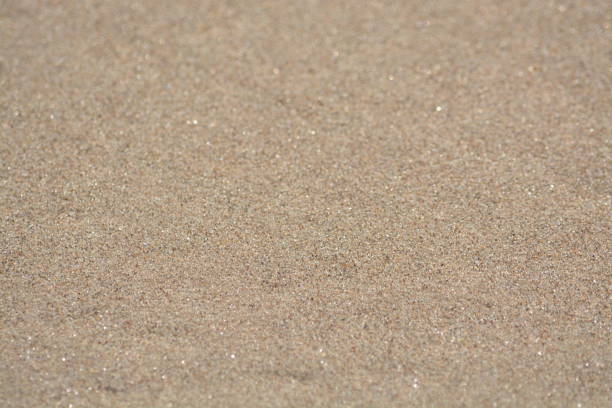A close up of golden sand sparkling in the sun