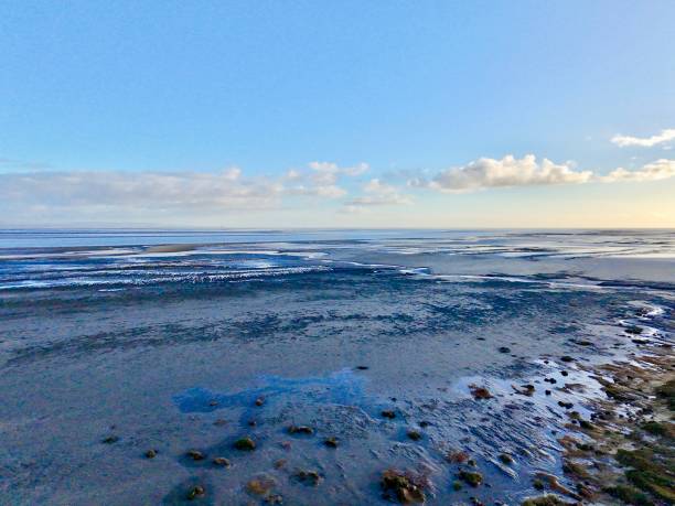 istock Expansive tidal mudflats stretching into the horizon 2203991642