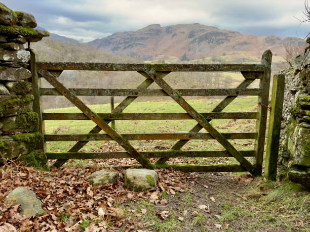 istock A weathered farm wooden gate with rolling hills 2203991866