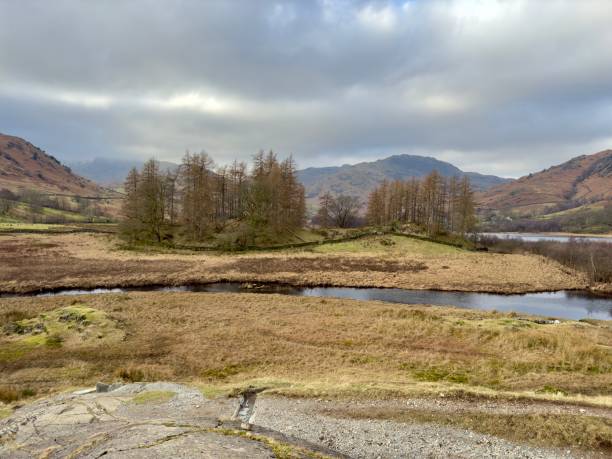 istock A serene valley landscape with a winding river, sparse trees, and distant mountains under a cloudy sky. 2203991900