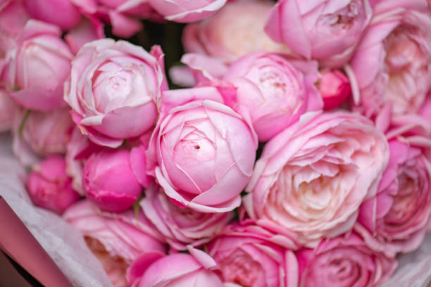 istock Beautiful Pink ranunculus Bouquet close up 2203992229