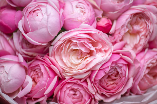 This beautiful soft pink rose arrangement is ideal for weddings, anniversaries, or gifts celebrating love