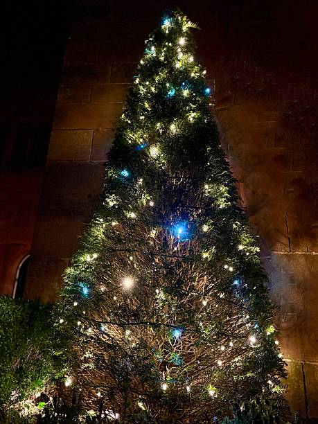 istock Christmas tree glowing warmly against a dark stone wall 2203993763