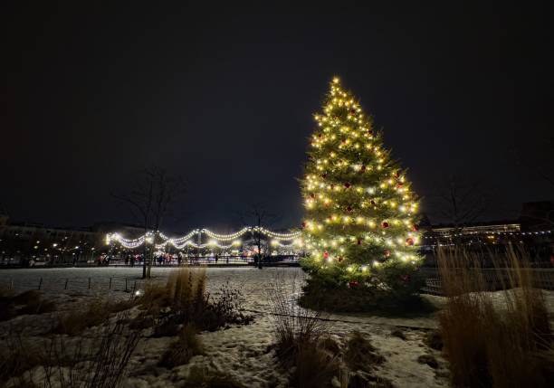 istock Glowing Christmas tree in a snowy park with festive lights 2203993841