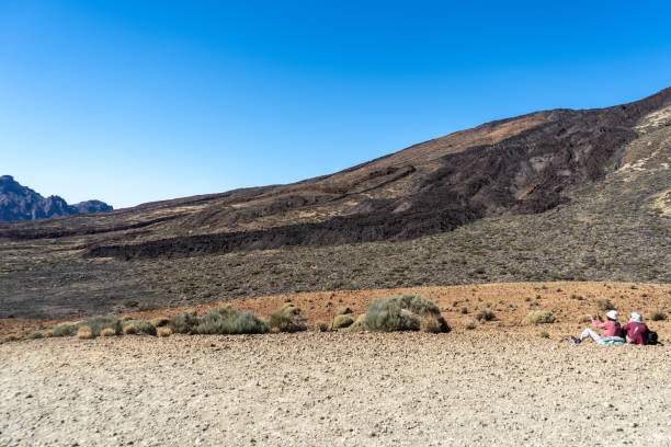 Lava Fields, Pumice Volcano Stones Texture, Volcanic Pumice Pattern, Pieces of Lava, Teide Basalt Extrusive Igneous Rock, Color Porous Volcano Stones in Spain, Tenerife, Peak of Teide