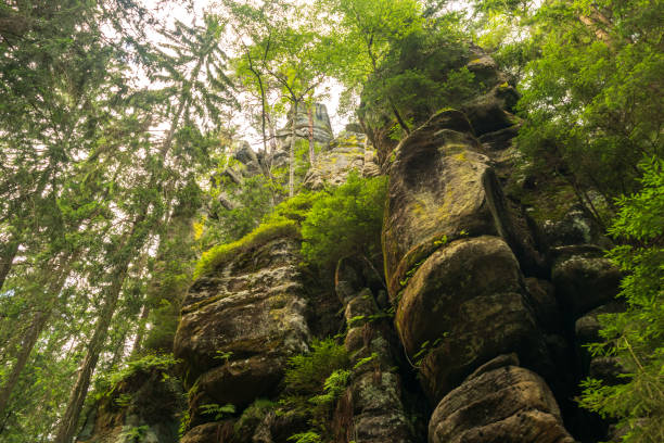 istock Majestic sandstone cliffs surrounded by lush greenery and forests for tourism, ecotourism 2203998904