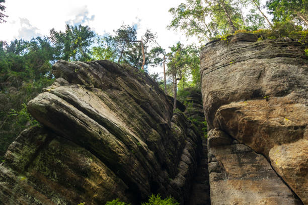 Majestic sandstone cliffs surrounded by lush greenery and forests for tourism, ecotourism, nature advertising, travel guides, tourism websites