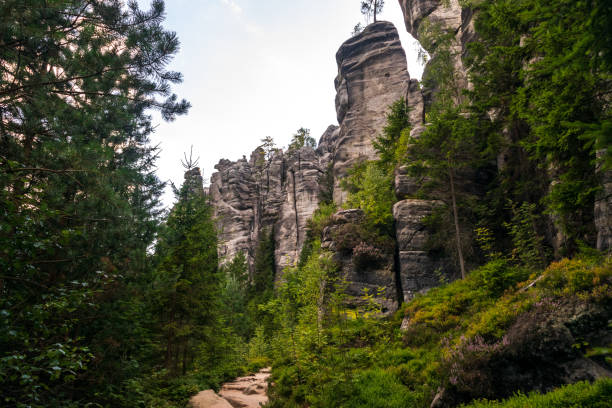 istock Majestic sandstone cliffs surrounded by lush greenery and forests for tourism, ecotourism 2203998987