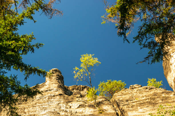 Majestic sandstone cliffs surrounded by lush greenery and forests for tourism, ecotourism, nature advertising, travel guides, tourism websites
