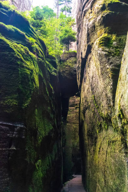 istock A moss-covered sandstone canyon with towering cliffs, lush greenery, and scattered sunlight 2203999014