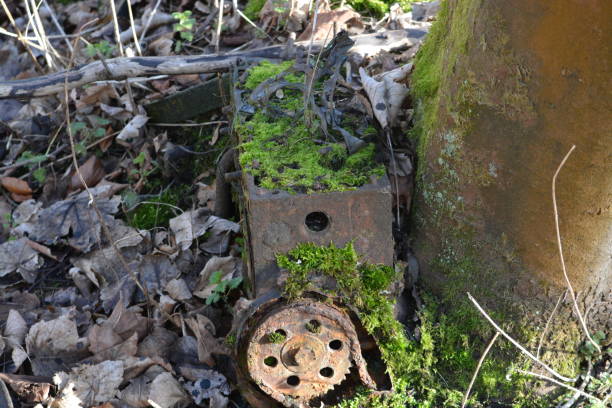 istock An old engine being overtaken by nature 2203999541