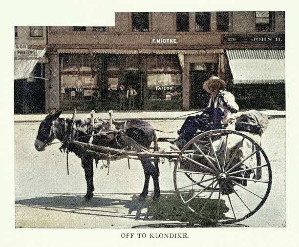 istock The old prospector, man setting off from San Jose, California, to join the Klondike Gold Rush, riding mule cart, 1890s, 19th Century Vintage photograph 2204001682