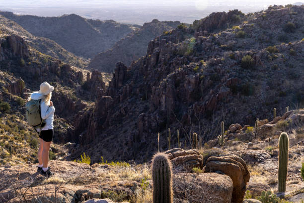 istock Woman hiker explores desert landscape 2204002374